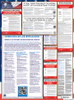 Federal Contractors Companion Posters