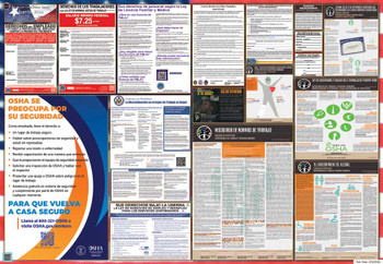 Puerto Rico Labor Law Posters State and Federal Combo