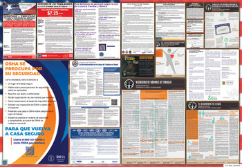 Puerto Rico Labor Law Posters State and Federal Combo