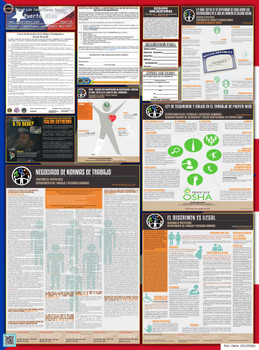 Puerto Rico Territory Labor Law Poster