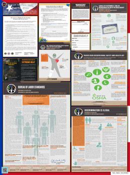 Puerto Rico Territory Labor Law Poster