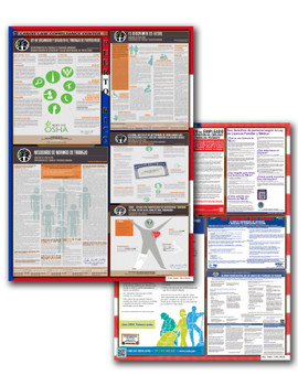 Puerto Rico Territory and Federal Poster Set