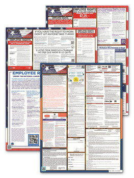 Delaware, Federal, and Contractor Poster Set