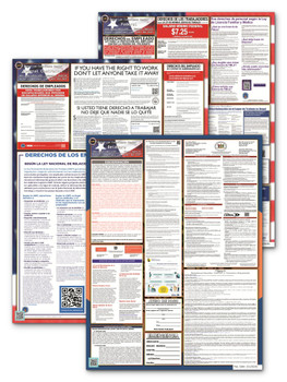 Delaware, Federal, and Contractor Poster Set