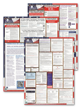 D.C., Federal, and Contractor Poster Set