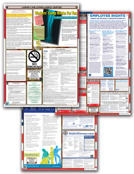 Florida, Federal, and Contractor Poster Set