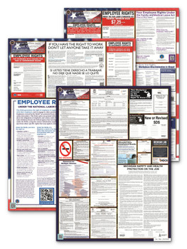 Michigan, Federal, and Contractor Poster Set