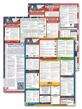Minnesota, Federal, and Contractor Poster Set