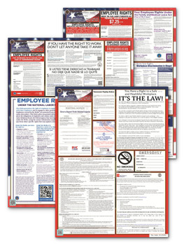 Tennessee, Federal, and Contractor Poster Set