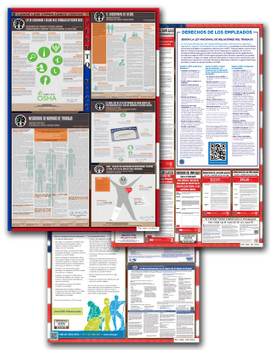 Puerto Rico Territory, Federal, and Contractor Poster Set