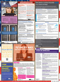 New York, New York Basic Multi-Ordinance Poster