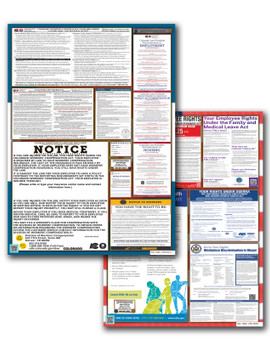 Colorado State and Federal Poster Set