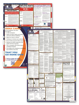 Connecticut State and Federal Poster Set
