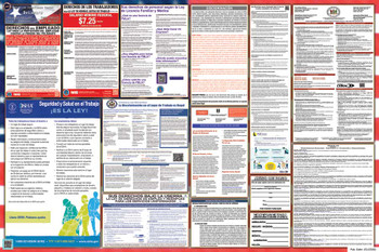 Delaware Labor Law Posters State and Federal Combo