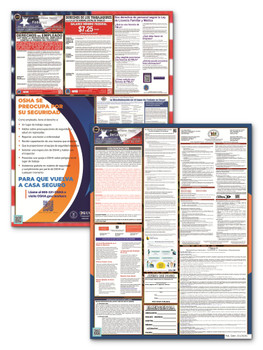 Delaware State and Federal Poster Set