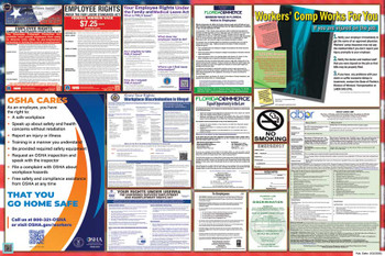 Florida Labor Law Posters State and Federal Combo