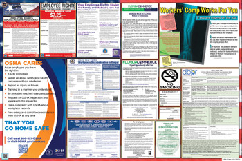 Florida Labor Law Posters State & Federal Combo