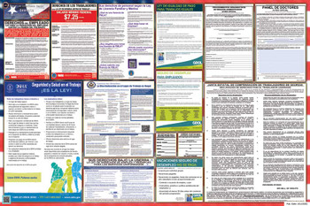 Georgia Labor Law Posters State and Federal Combo