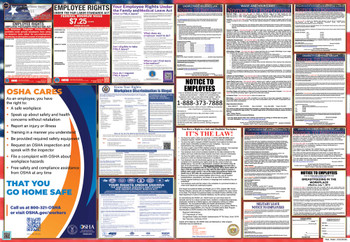 Hawaii Labor Law Posters State and Federal Combo