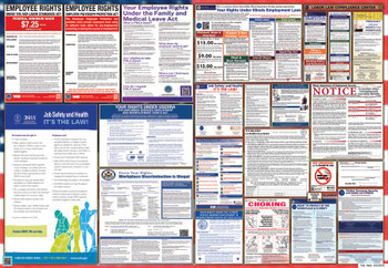 Illinois Labor Law Posters State and Federal Combo
