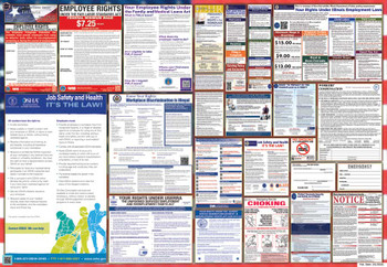 Illinois Labor Law Posters State and Federal Combo