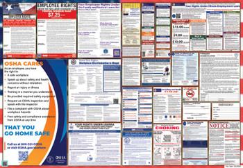 Illinois Labor Law Posters State and Federal Combo