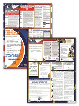 Indiana State and Federal Poster Set