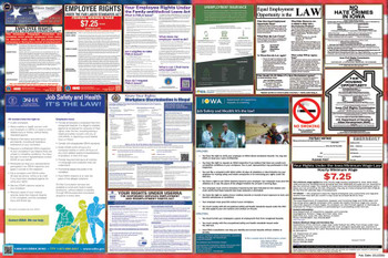 Iowa Labor Law Posters State and Federal Combo