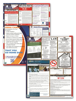 Iowa State and Federal Poster Set