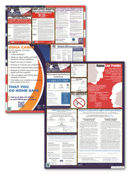 Kansas State and Federal Poster Set