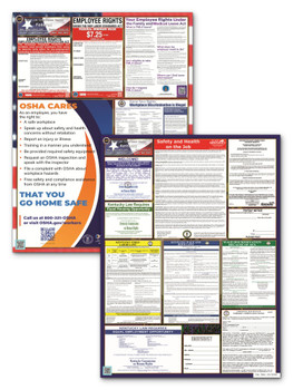 Kentucky State and Federal Poster Set