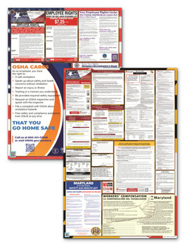 Maryland State and Federal Poster Set