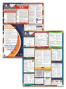 Minnesota State and Federal Poster Set