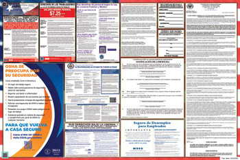 Mississippi Labor Law Posters State and Federal Combo