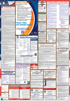 Nevada Labor Law Posters State and Federal Combo