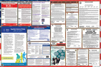 New Hampshire Labor Law Posters State and Federal Combo