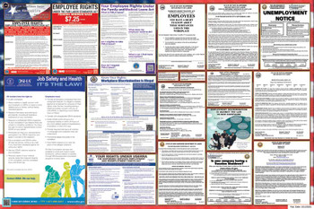 New Hampshire Labor Law Posters State and Federal Combo