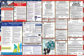 New Hampshire Labor Law Posters State and Federal Combo