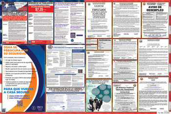 New Hampshire Labor Law Posters State and Federal Combo