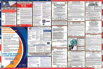 New Hampshire Labor Law Posters State and Federal Combo
