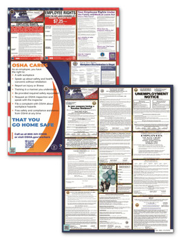 New Hampshire State and Federal Poster Set
