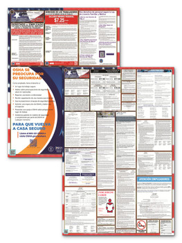 New York State and Federal Poster Set