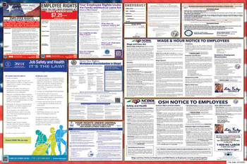 North Carolina Labor Law Posters State and Federal Combo