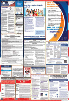 Ohio Labor Law Posters State and Federal Combo