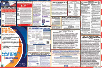 Texas Labor Law Posters State and Federal Combo