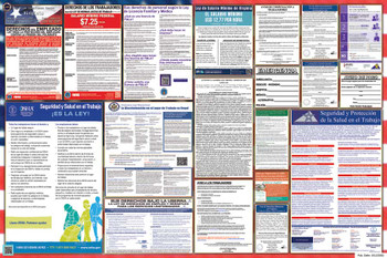 Virginia Labor Law Posters State and Federal Combo
