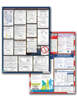 Wisconsin State and Federal Poster Set