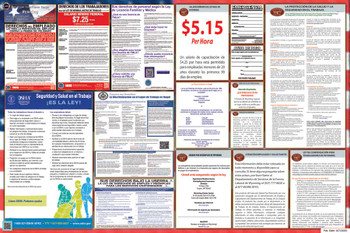 Wyoming Labor Law Posters State and Federal Combo