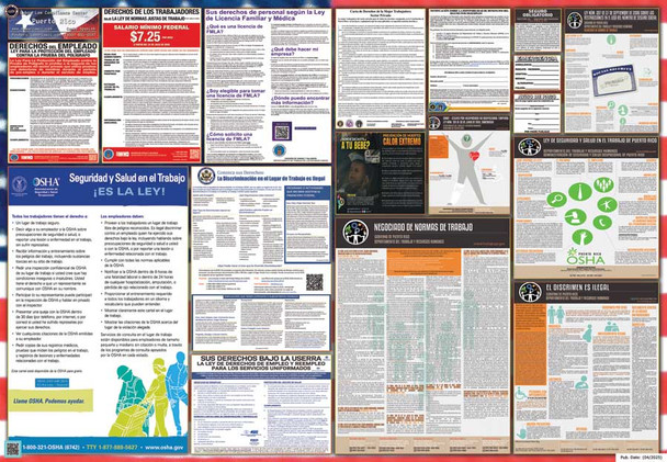 Puerto Rico Labor Law Posters State and Federal Combo