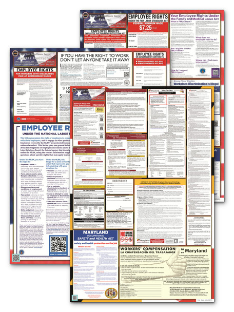 Maryland, Federal, and Contractor Poster Set